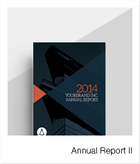 16_annualreportii