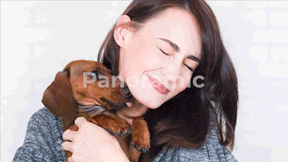 Graphics Pack: Transitions, Typography, Titles, Light Leaks, Color Presets, Sound FX - 25