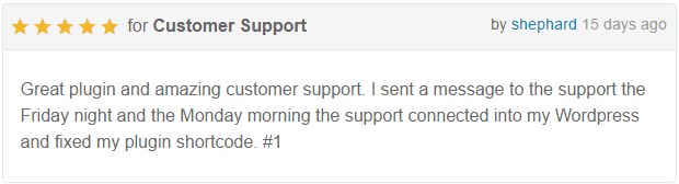 WP Timeline – Vertical and Horizontal timeline plugin - 6