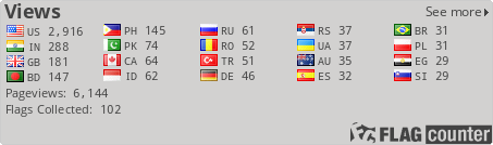 Flag Counter
