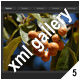 ADVANCED XML IMAGE GALLERY_v5