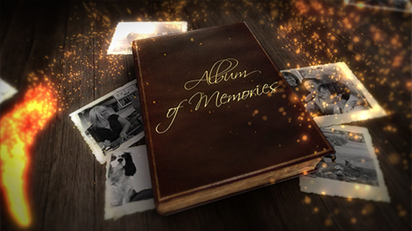 Album of memories and Wedding book bundle - 3