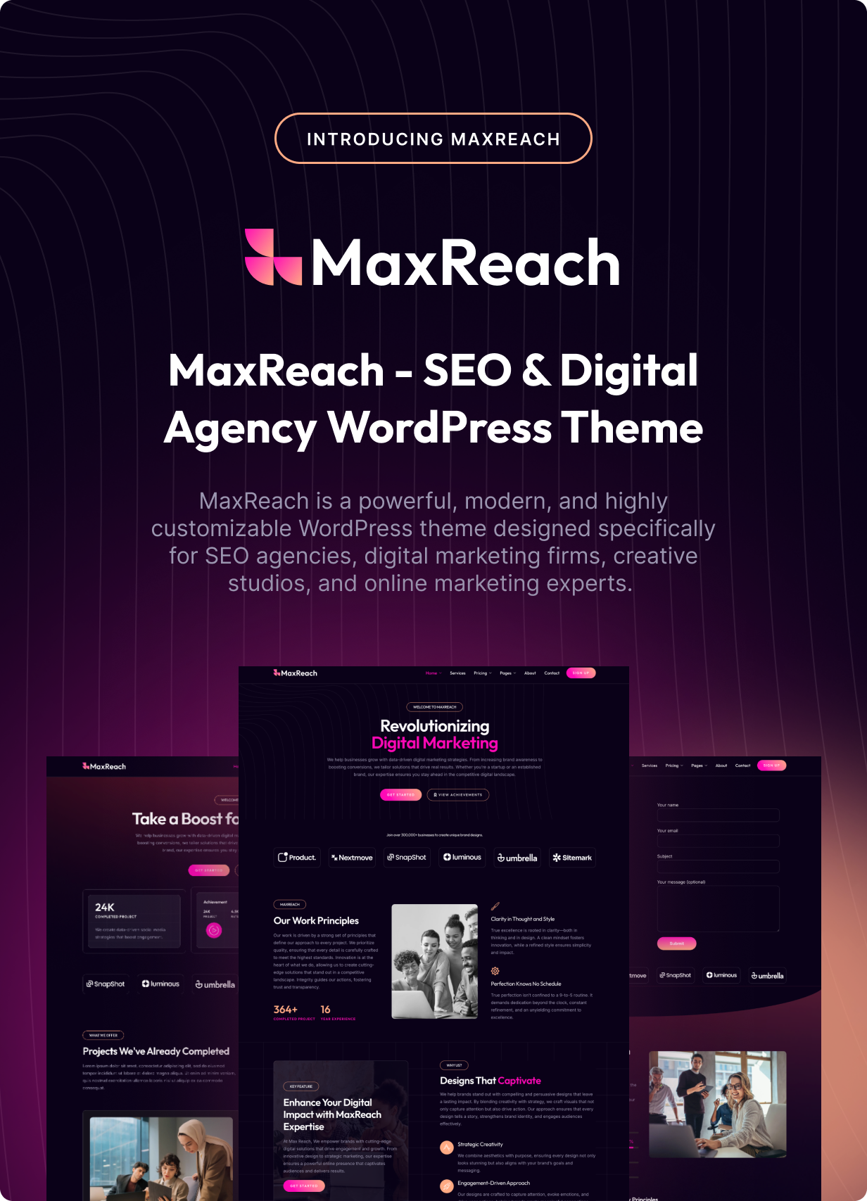 MaxReach - SEO & Digital Agency WordPress Theme - 2