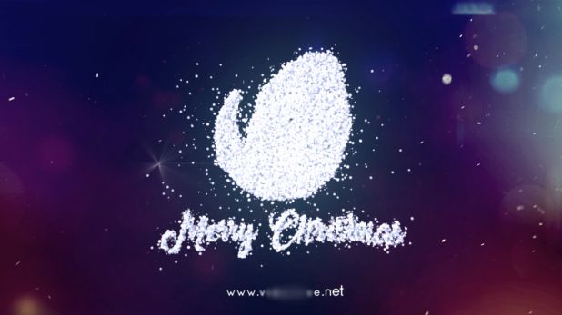 Christmas Snowflakes Logo - 8