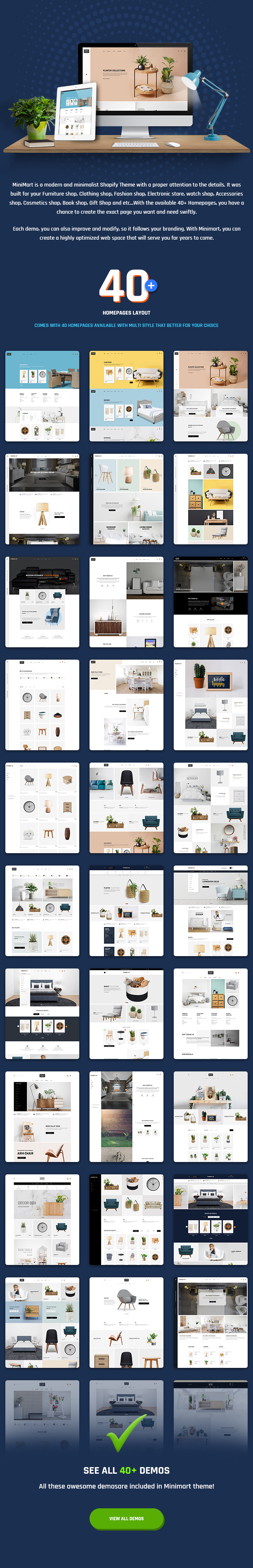 shopify theme