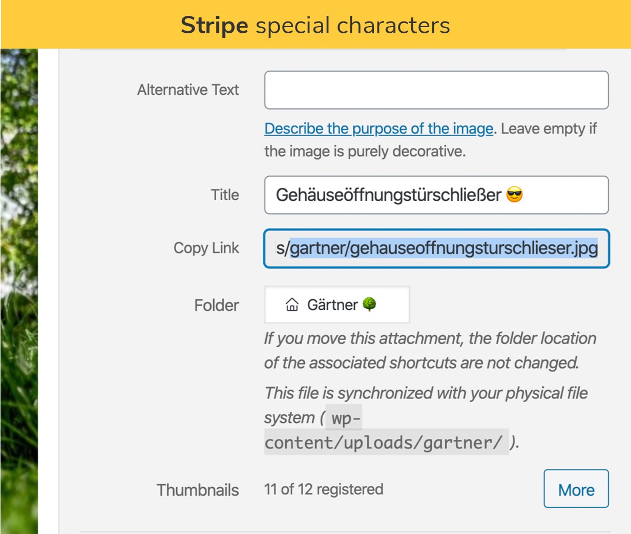 stripe special characters