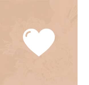 Wedding - WordPress Theme - 18