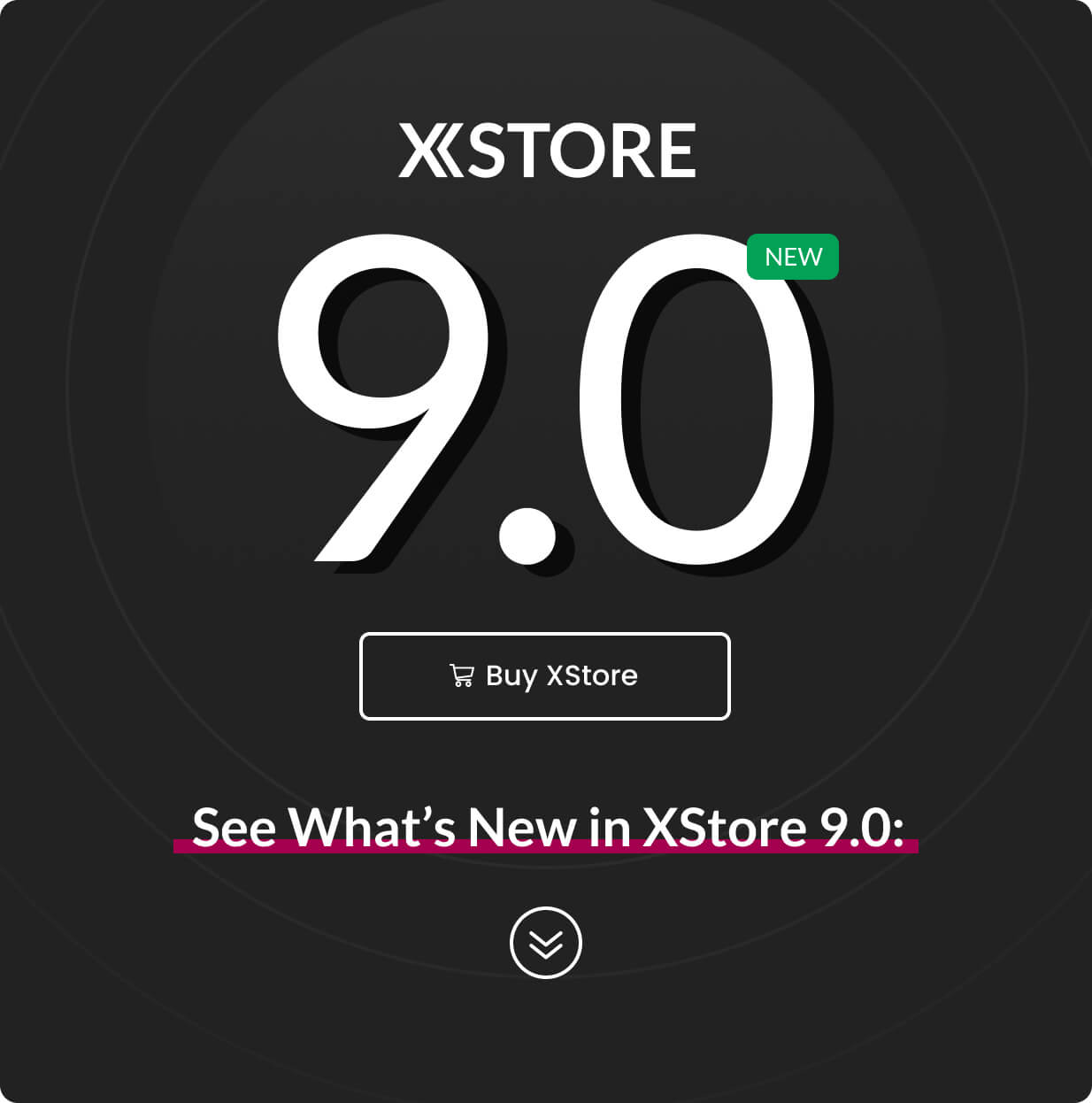 XStore - Multipurpose WordPress WooCommerce Theme 02