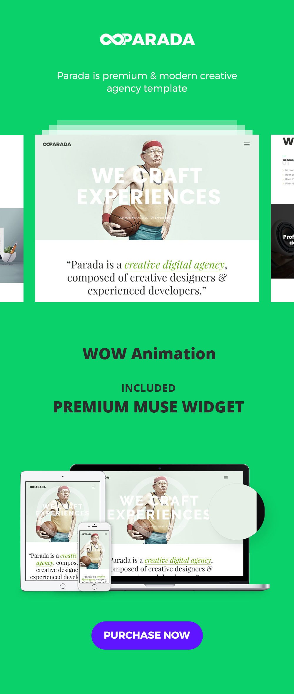 parada-creative-agency-muse-template-by-dev-themes-themeforest