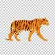 light-r-won - Tiger Walk Cycle