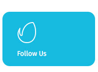 Woocommerce Themes