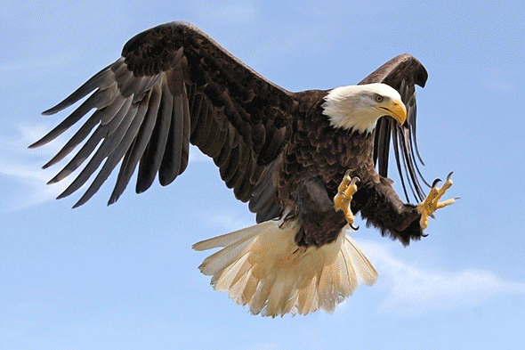 Fantasy Clouds CS3+ Photoshop Action - 1