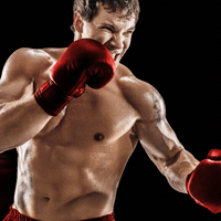 Kinetic Photos Pack - 22