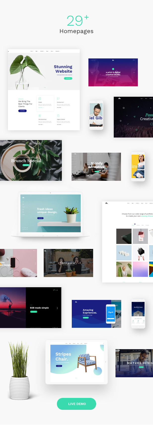 Corporate Business Agency WordPress Theme - 29  Homepages