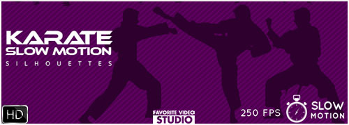 9 Karate Fighter Silhouettes Slow Motion