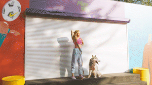 Paper Transitions | Big Pack - 37