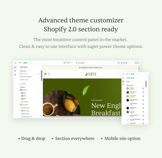 Advanced theme customizer