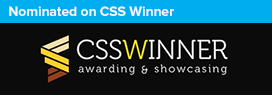 CSS Winner