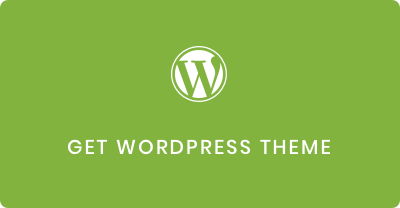 WordPress Theme