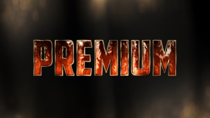 Premium Logo Reveal - 3