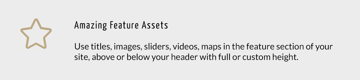 Amazing Feature Assets