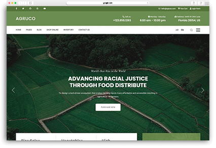 Jollyany | Multi-Purpose Joomla 5 Template