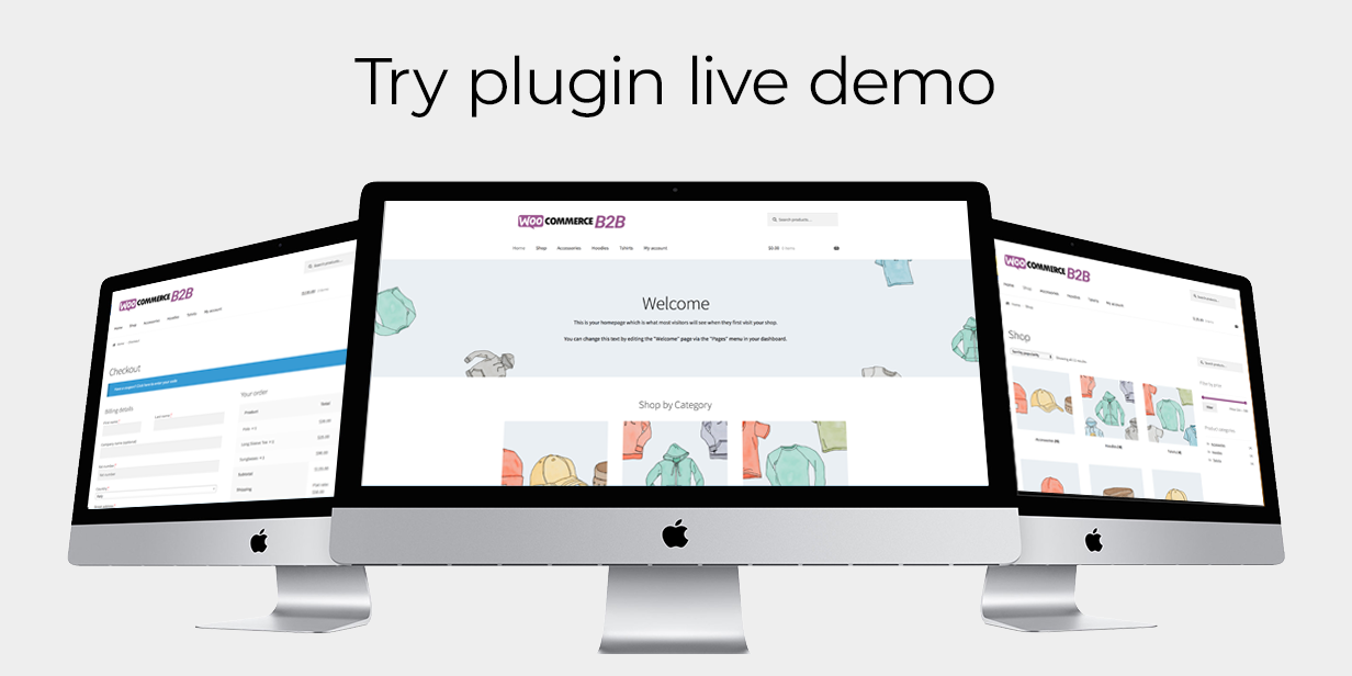 WooCommerce B2B - Demo