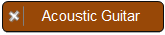 Acoustic Guitar