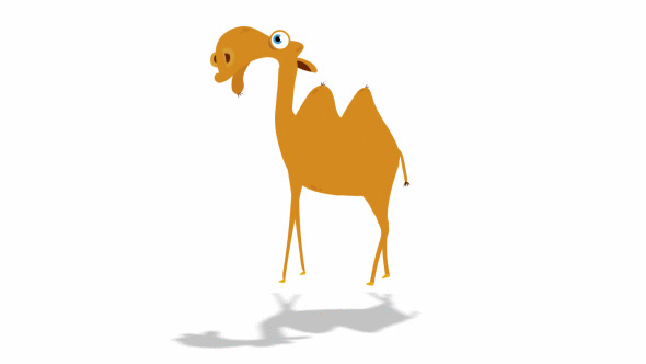 Cartoon Camel Animation by kalheesi | VideoHive