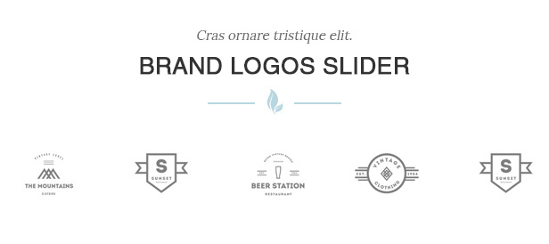 des_19_brand_slider