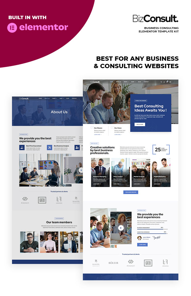 bizconsult home pages