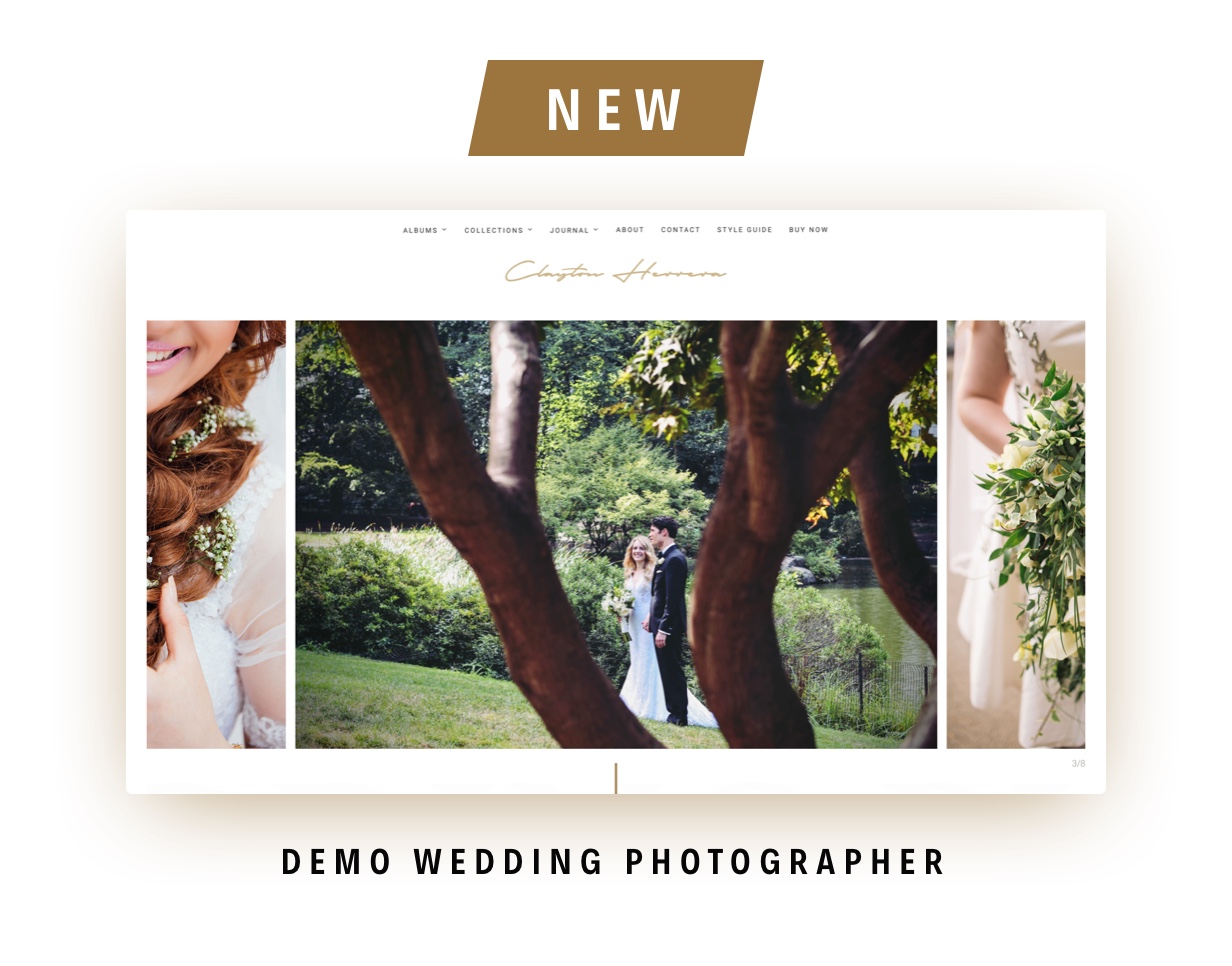 Clayton, an Elegant Theme for Photographers - 2
