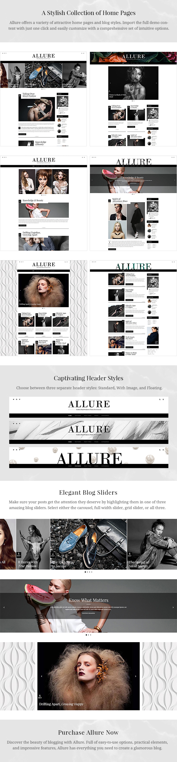 Allure - Beauty & Fashion Blog WordPress Theme - 1