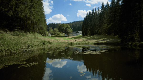 Testimonials 3D Pack 54657142 - Project for After Effects (Videohive)