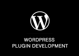 wordpress development custom plugins