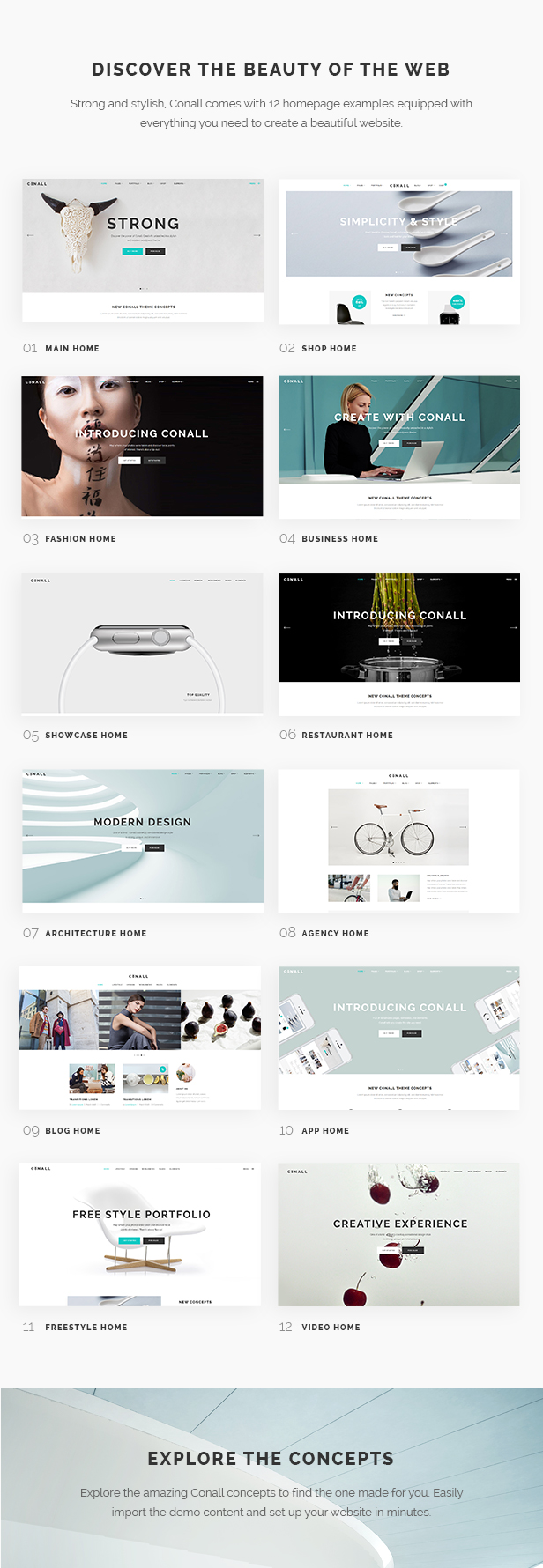 Conall - A Clean & Beautiful Multipurpose Theme - 1