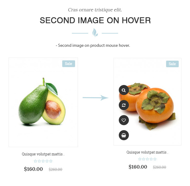 des_13_hover_images