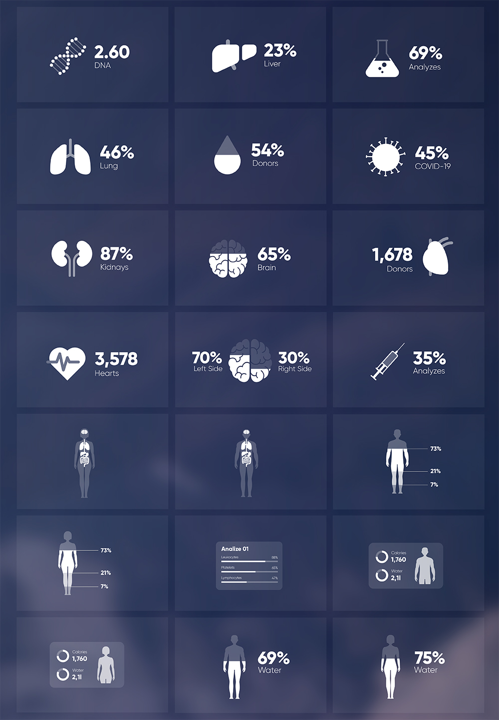 Infographic Elements - 27