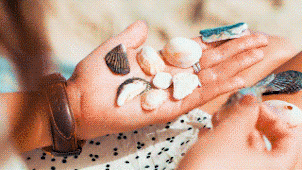 Basic Grid Transitions - 2