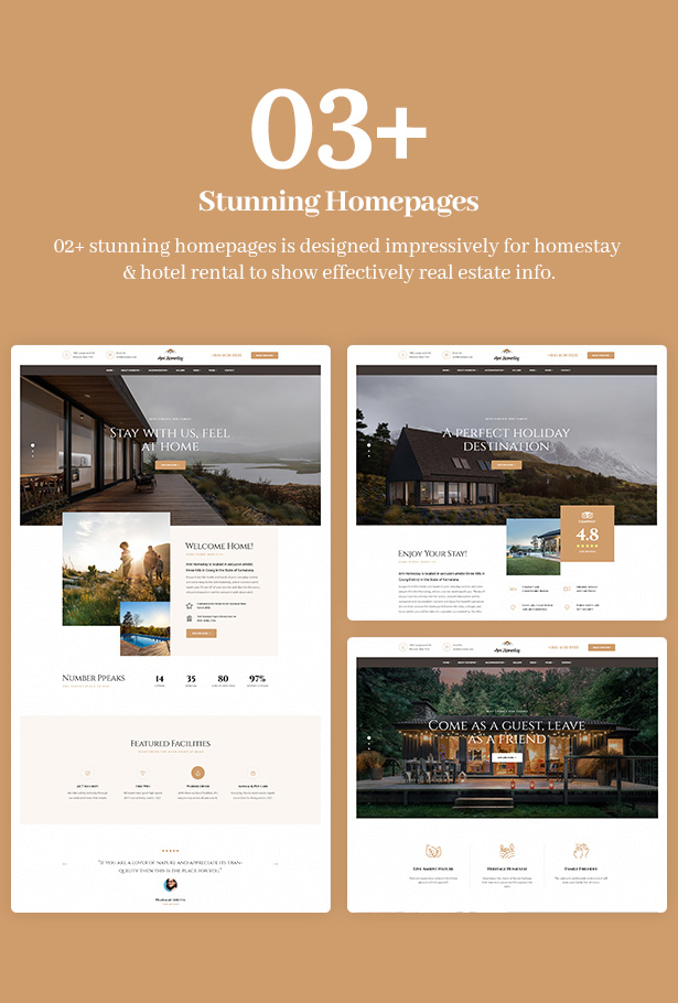 Ami Homestay WordPress Theme Homepages