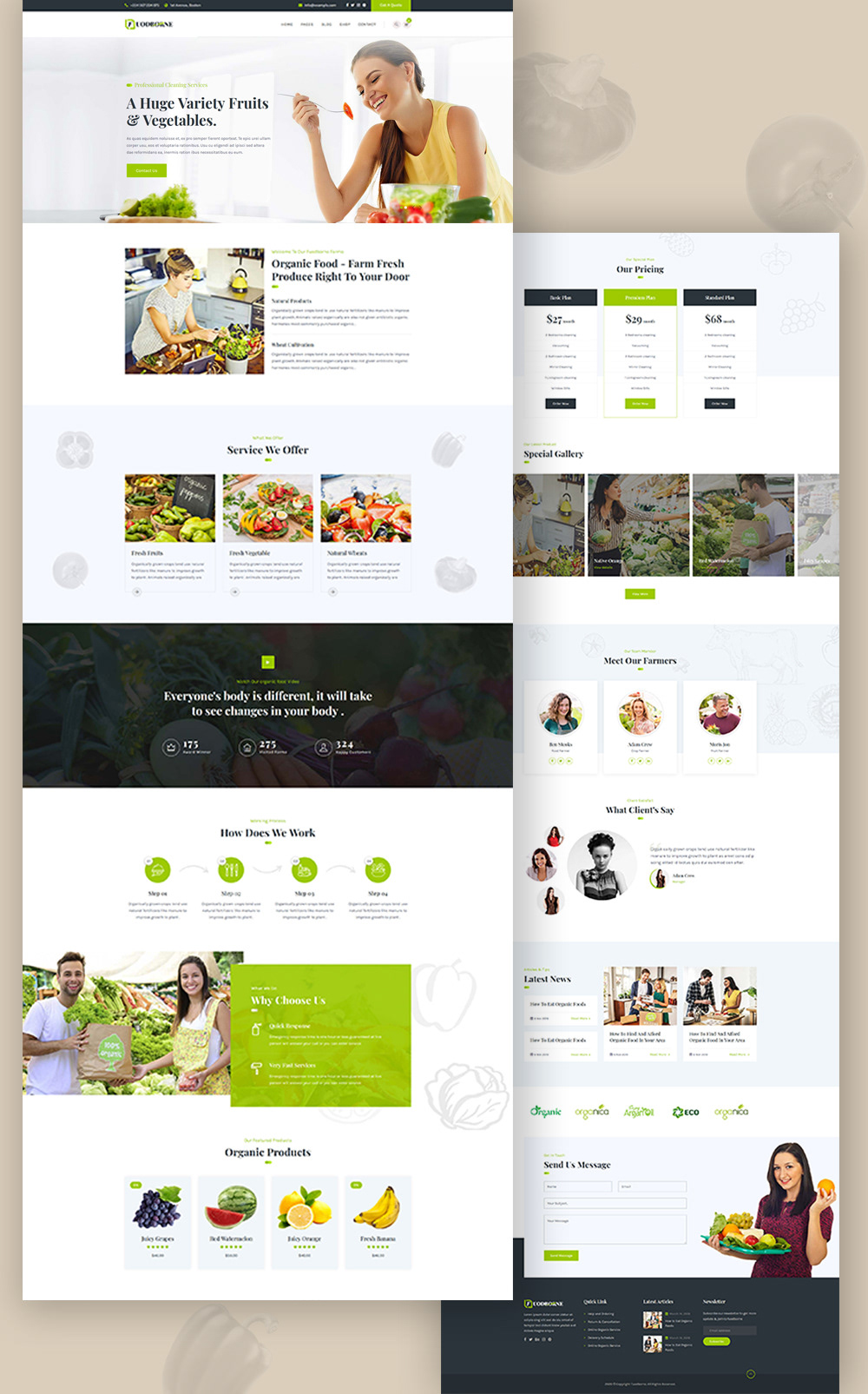 Fuodborne Organic Agriculture Food Shop Template By Blackgallery