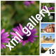 ADVANCED XML IMAGE GALLERY_v15