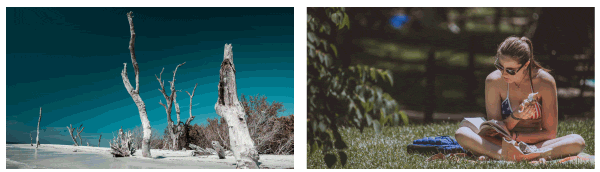 Transition Composer - 3