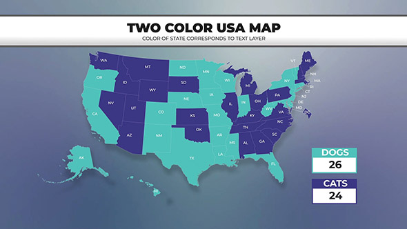 USA Smart Charts Data-Driven Infographics - 5