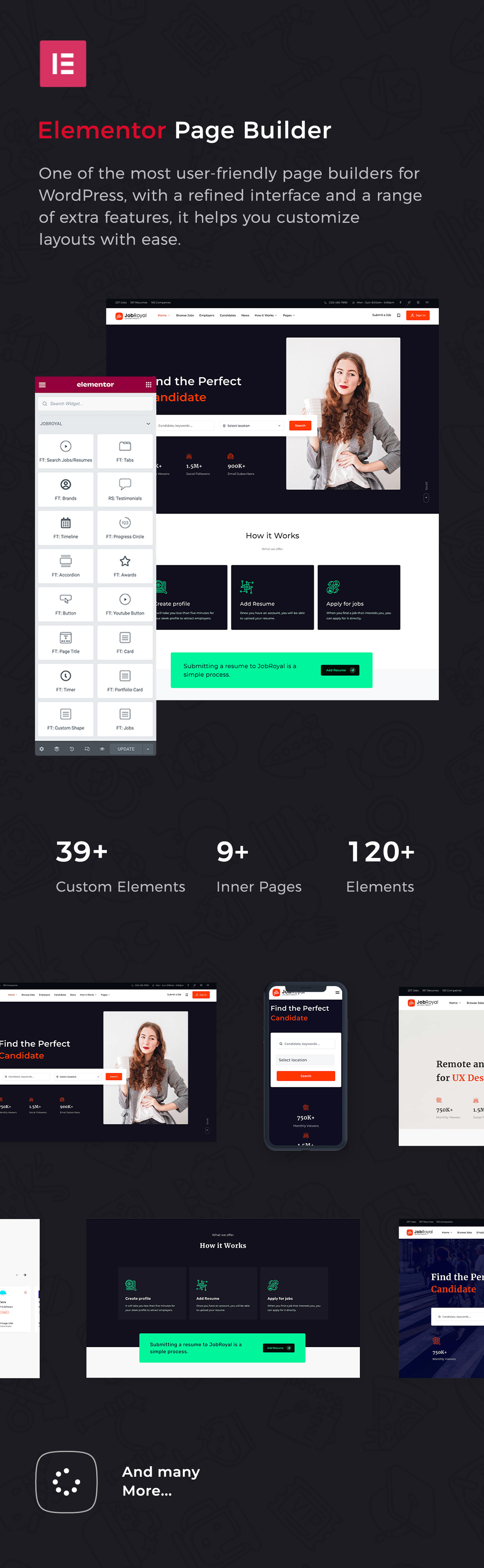 JobRoyal - Work Positions Board and Resumes WordPress Theme - 5