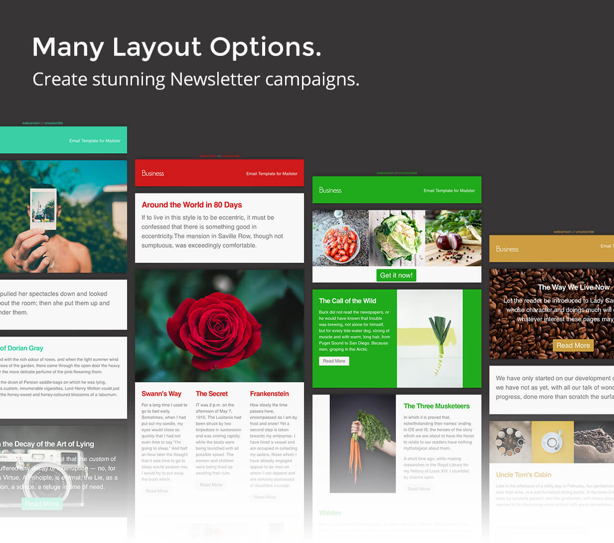 Business - Email Template for Mailster - 8