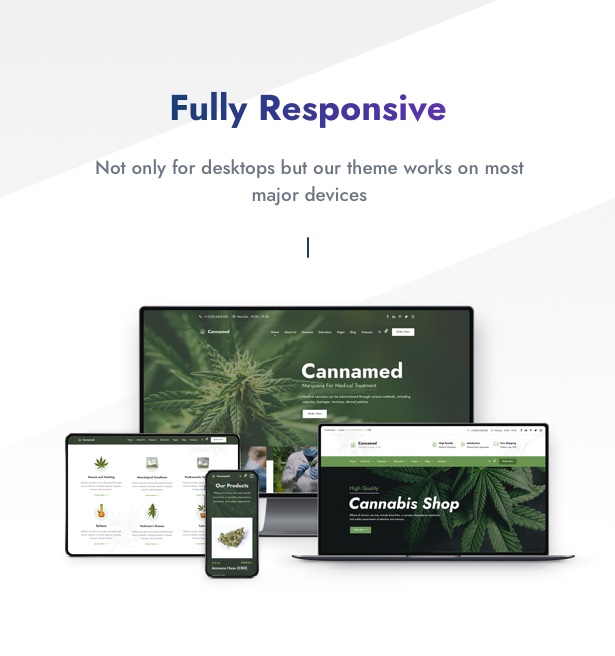 Woocommerce Themes