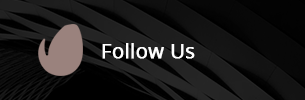 Mifo - Creative Minimal Portfolio WordPress Theme  