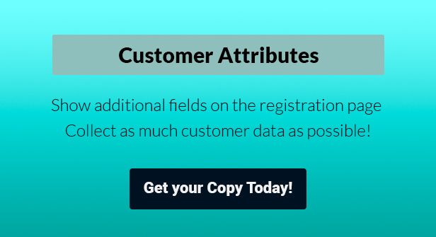 Magento 2 Customer Attributes