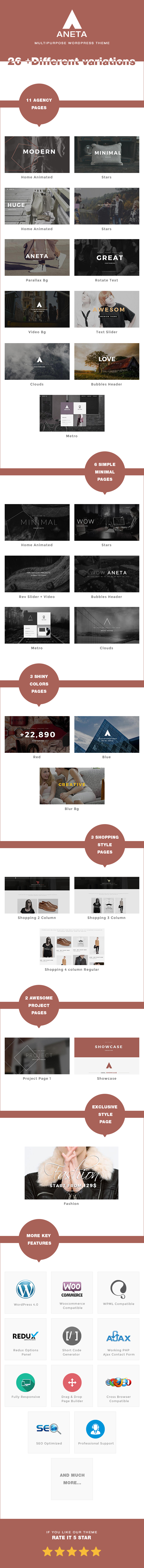Aneta Agency Startup  Agency WordPress Theme - 7